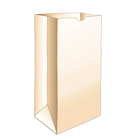 Paper Bag, 20#, Size: 8.25"x5.31"x16.12", Basis Weight: 40#, Color: Kraft, Compostable, Paper, 500/cs
